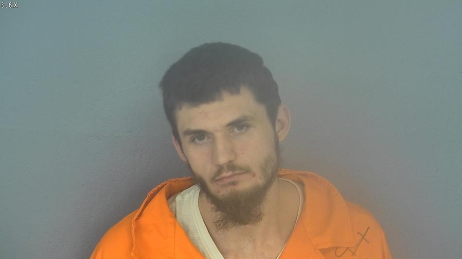 Arrest photo of TYLER BROCK