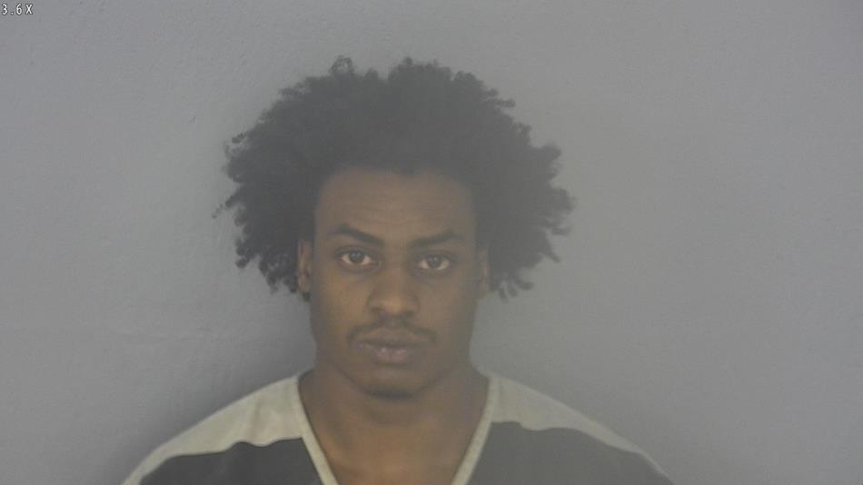 Arrest photo of TYREE BRYANT