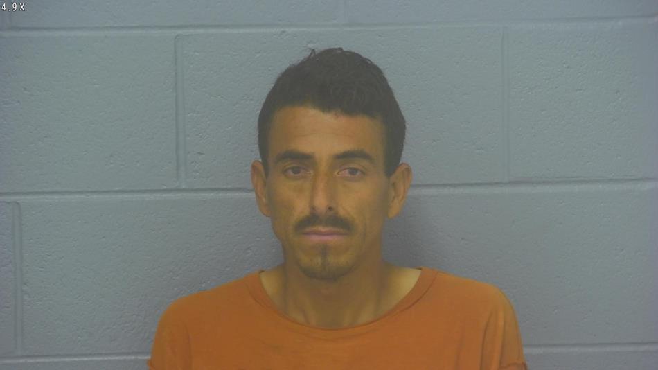 Arrest photo of ULISES MARTINEZ