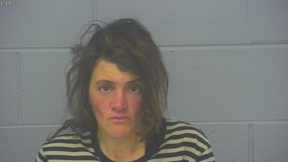 Arrest photo of URSULA GREENLEE