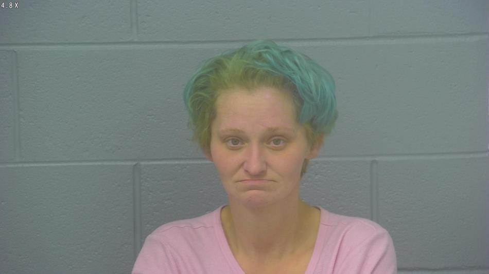 Arrest photo of VANESSA LOVE