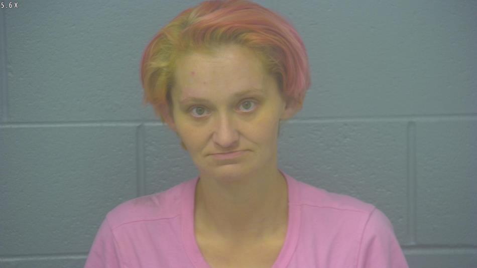 Arrest photo of VANESSA LOVE