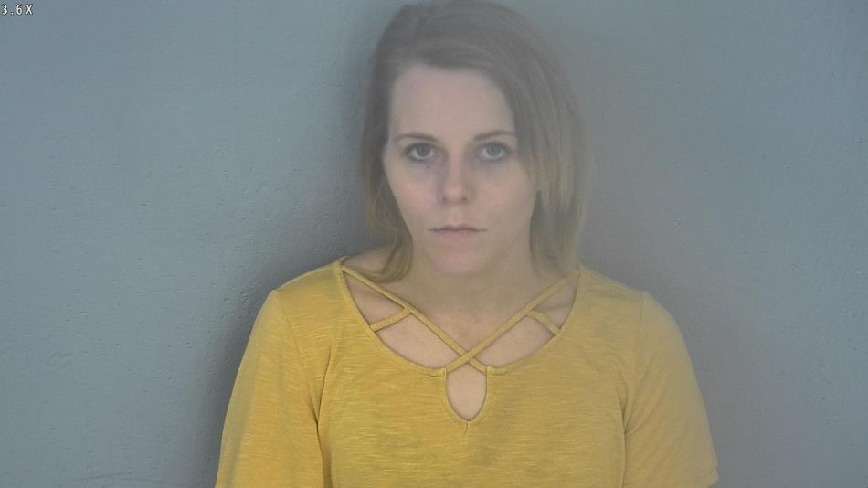 Arrest photo of VANESSA FITZPATRICK