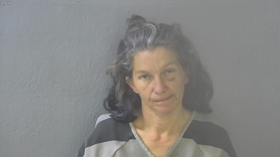 Arrest photo of VERONICA HALL