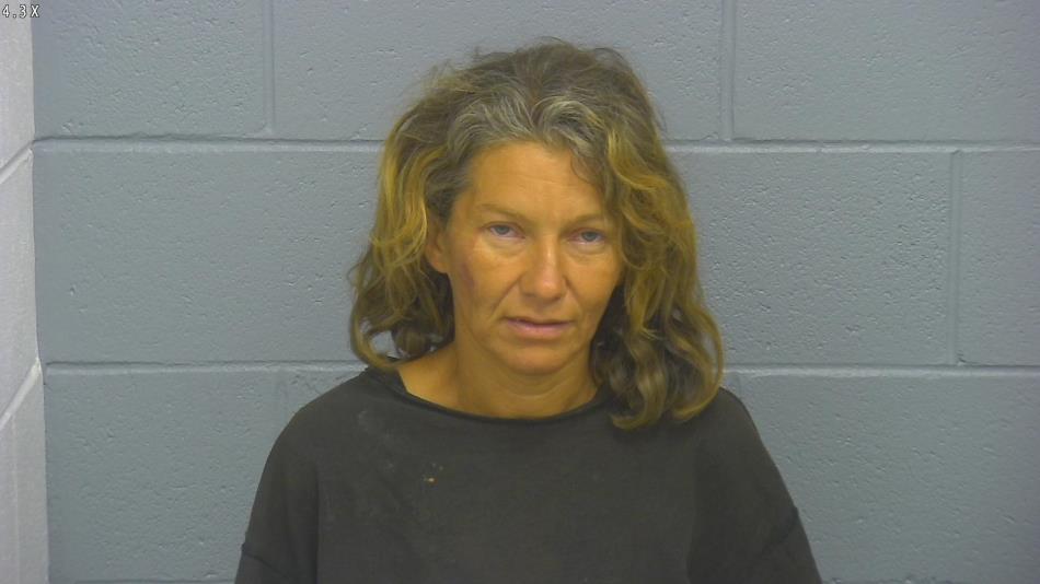 Arrest photo of VERONICA HALL