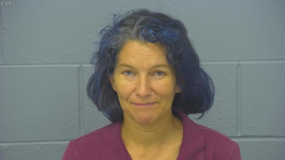 Arrest photo of VERONICA HALL