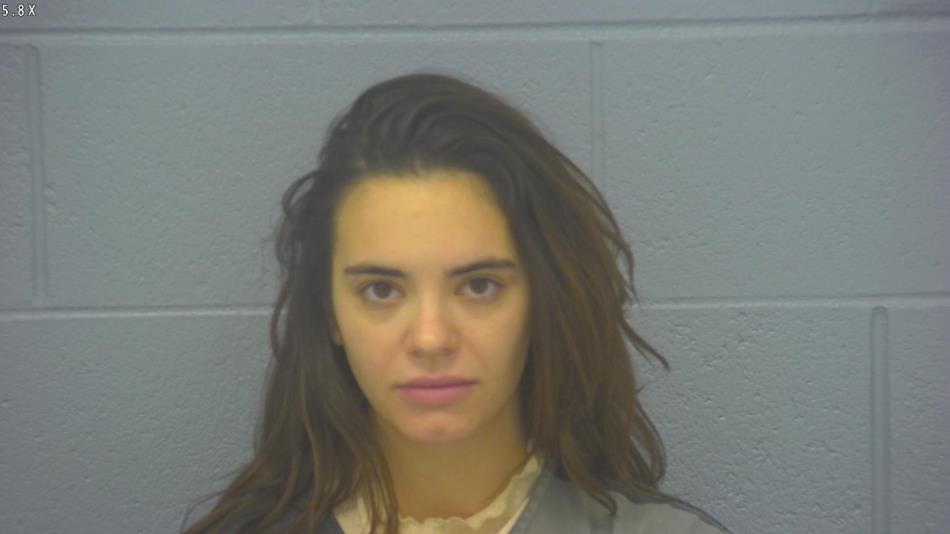 Arrest photo of VERONICA STEVENS