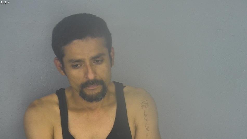 Arrest photo of VICTOR CHAVEZ