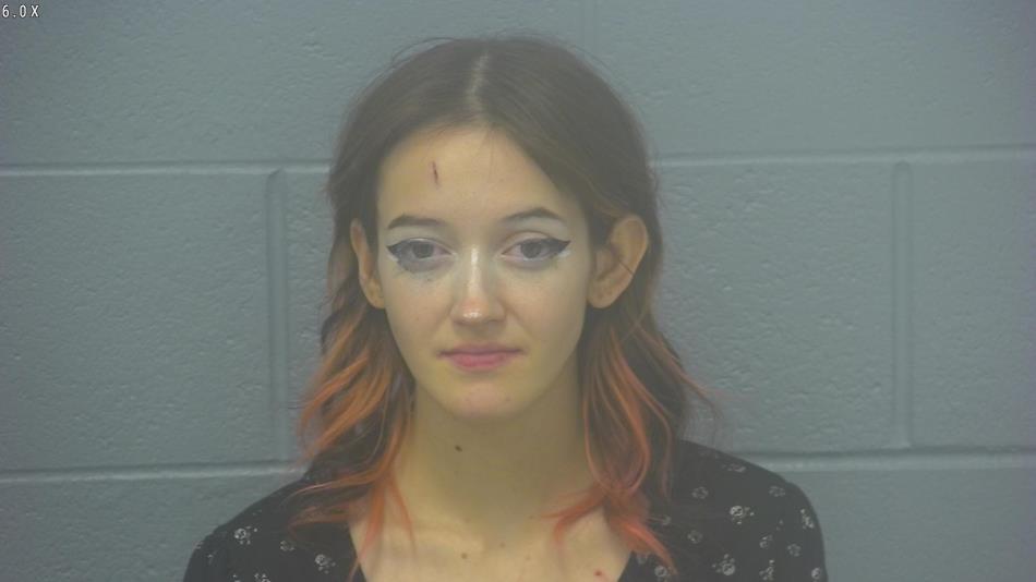Arrest photo of VICTORIA PETERSON