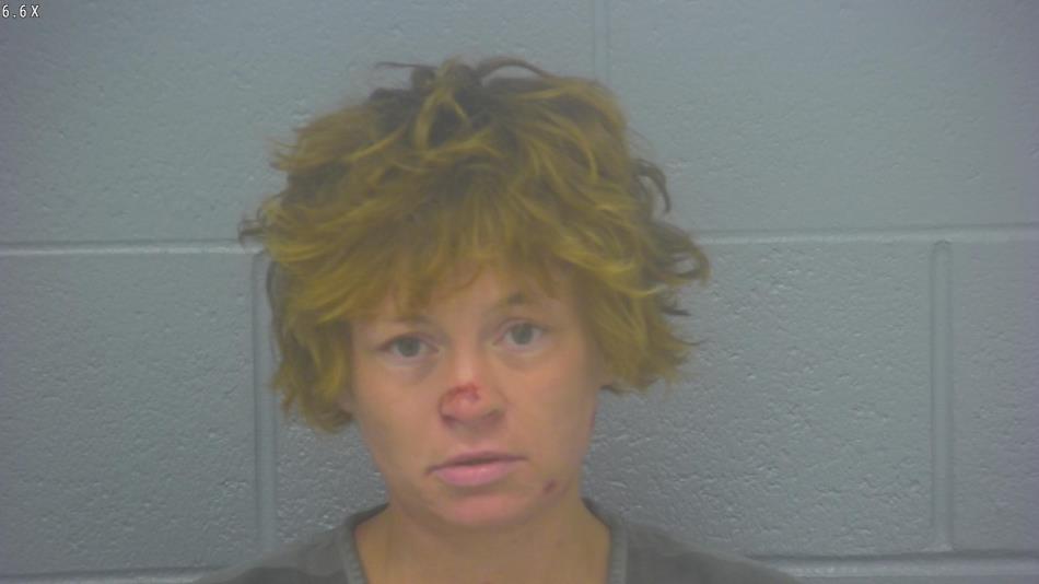 Arrest photo of VICTORIA SCHEIDEMAN