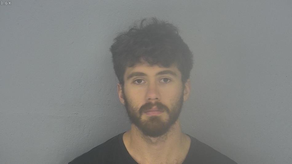 Arrest photo of VINCENT ERICKSON