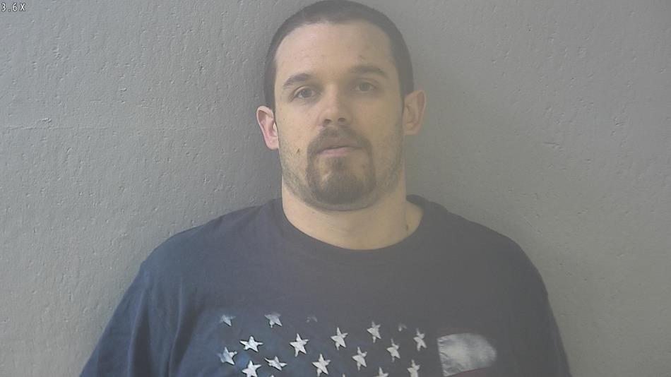 Arrest photo of VINCENT DOMINY