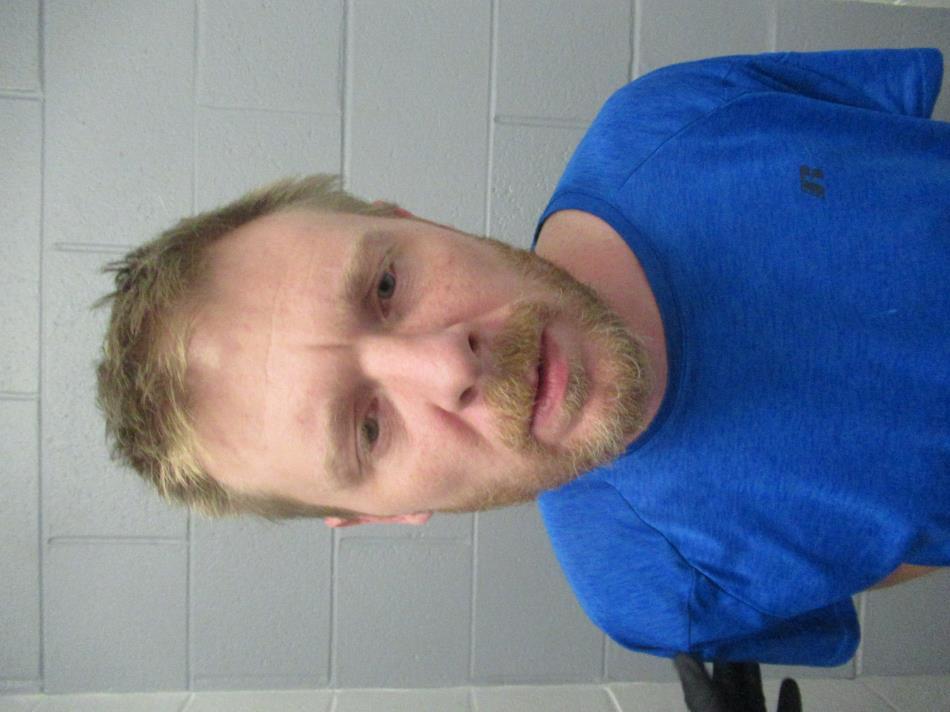 Arrest Photo of VINCENT GREEN in Greene County, MO.