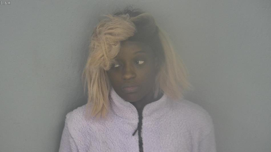 Arrest photo of VIRGIE MARTIN