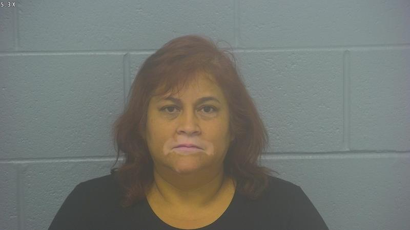 Arrest Photo of VIRGINA ESTRADA-FLORES, arrested on 9/3/2025