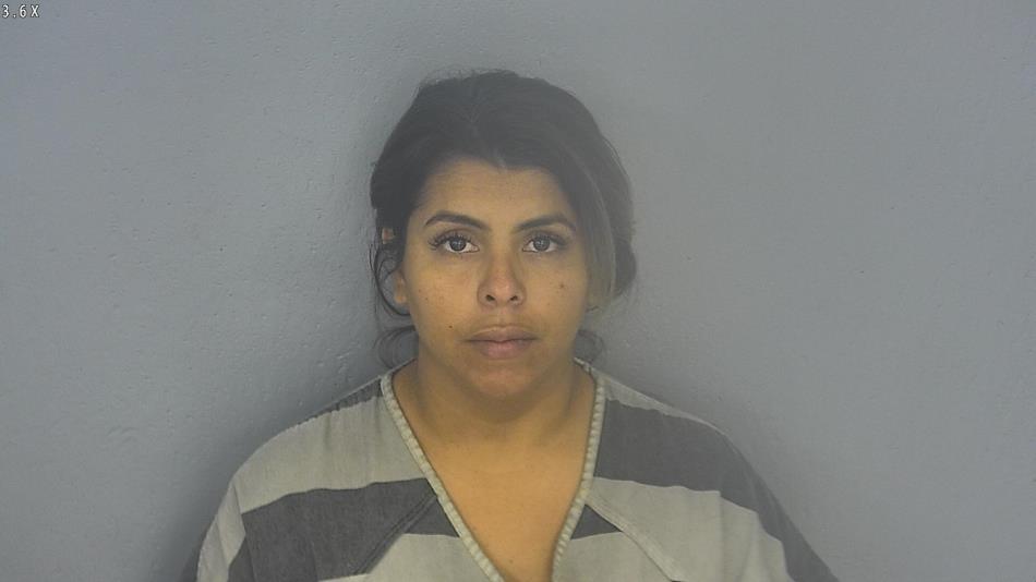 Arrest photo of VIRGINIA SANCHEZ