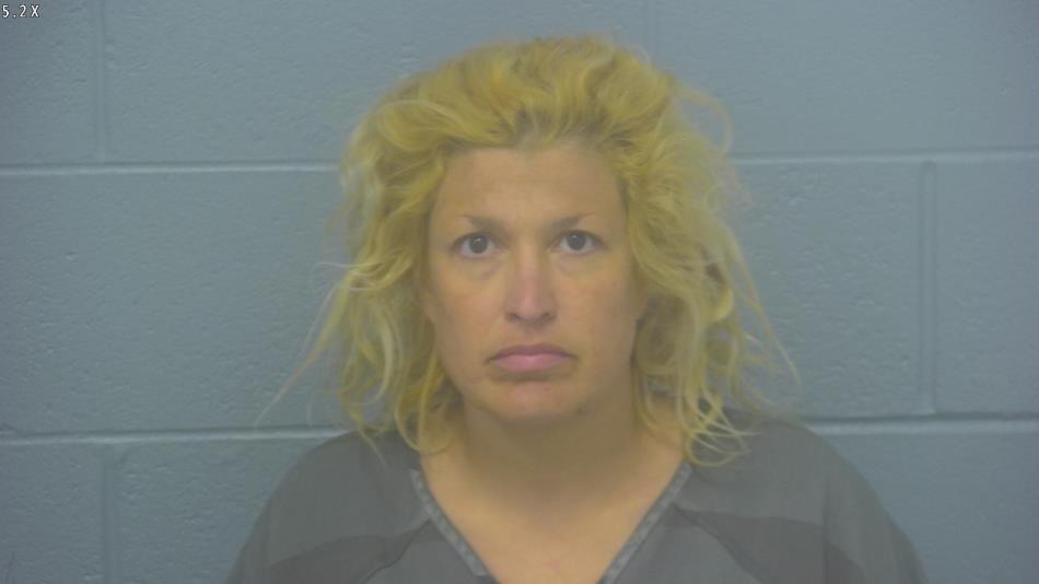 Arrest photo of VIRGINIA PERREIRA