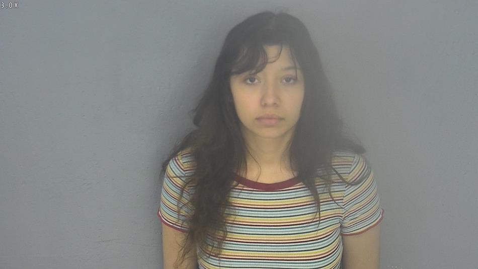Arrest photo of VIVIANA LOZANO
