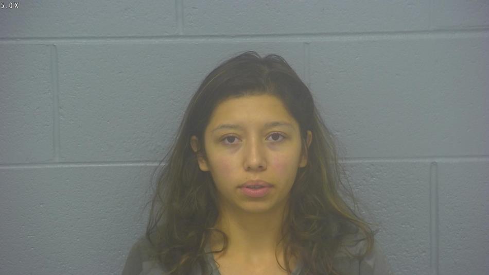 Arrest photo of VIVIANA LOZANO