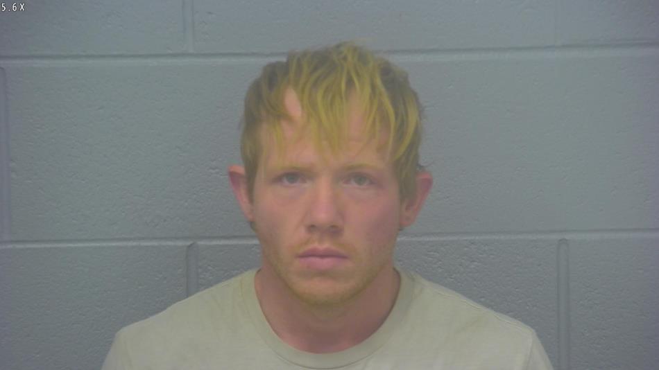 Arrest photo of VON ALFORD