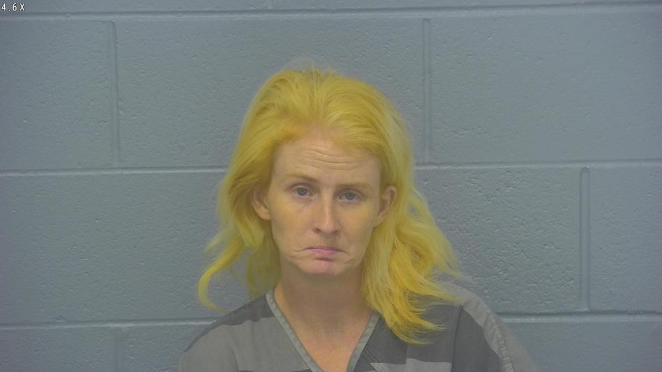 Arrest photo of VONNEE APPLEGATE
