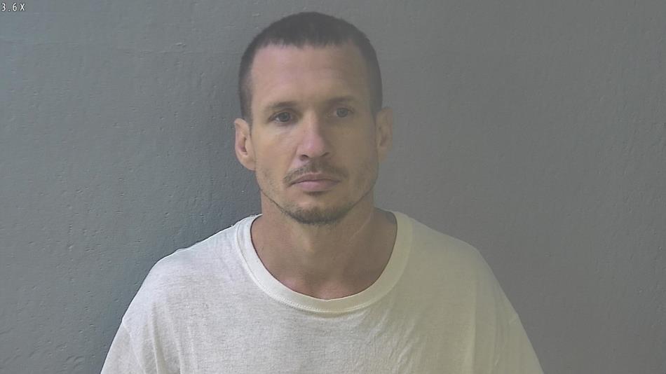 Arrest photo of WALTER SCHULZ