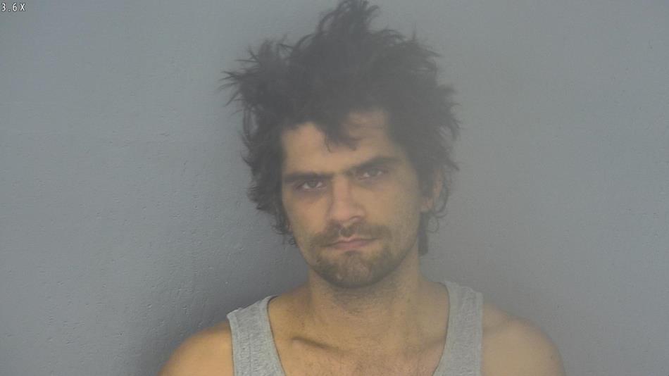 Arrest photo of WAYNE SQUIBB