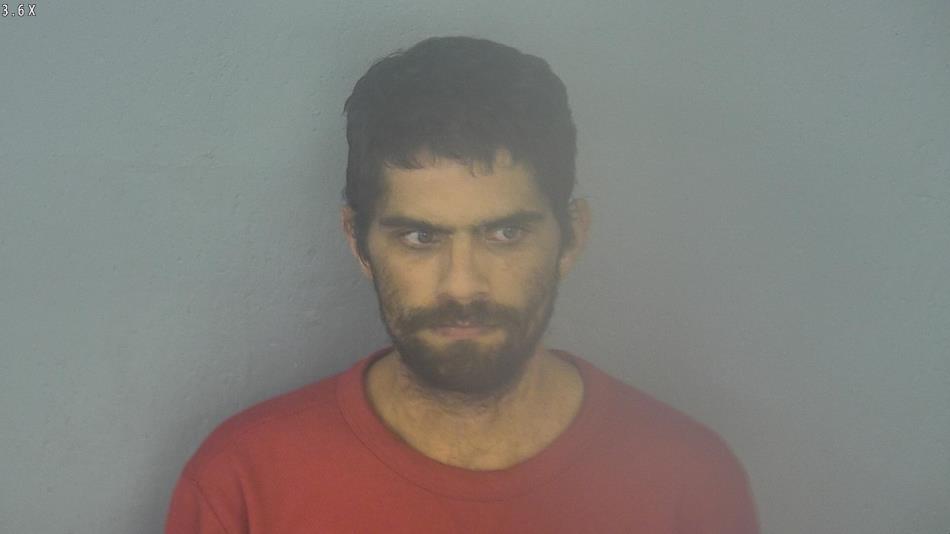 Arrest photo of WAYNE SQUIBB