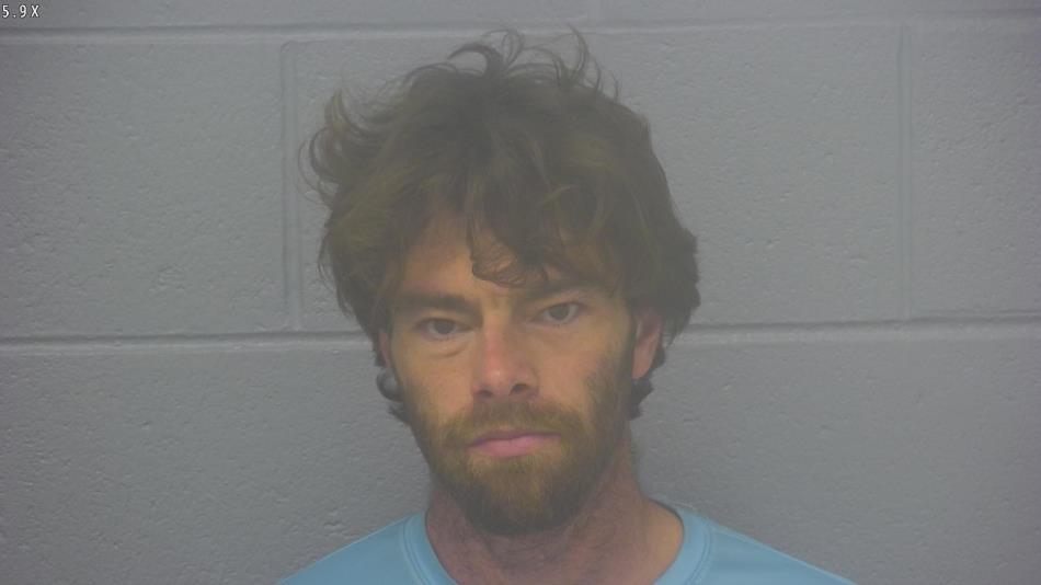 Arrest photo of WAYNE SIMPSON