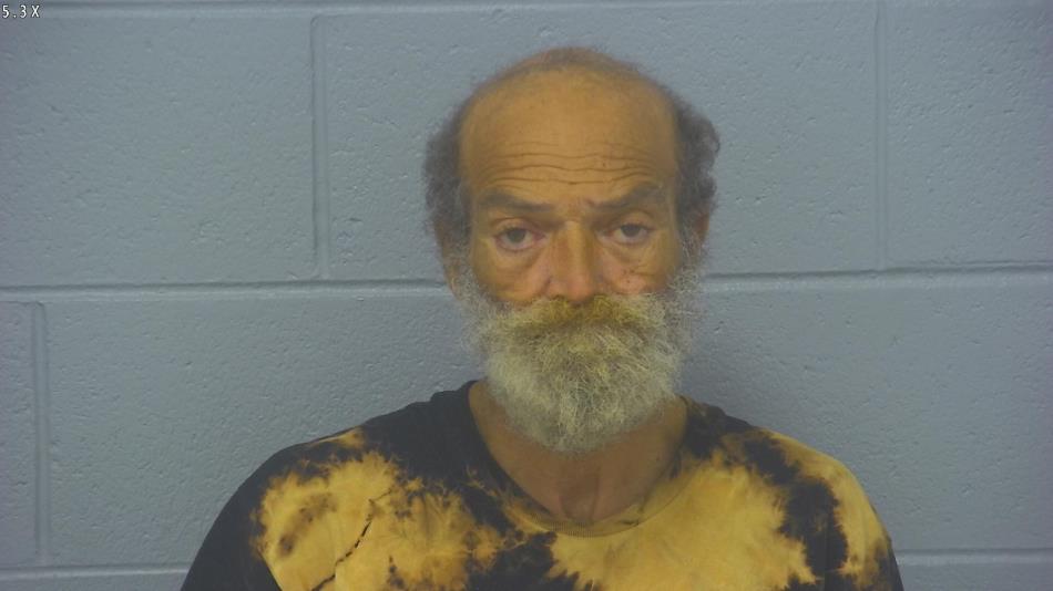 Arrest photo of WELTON ANDERSON