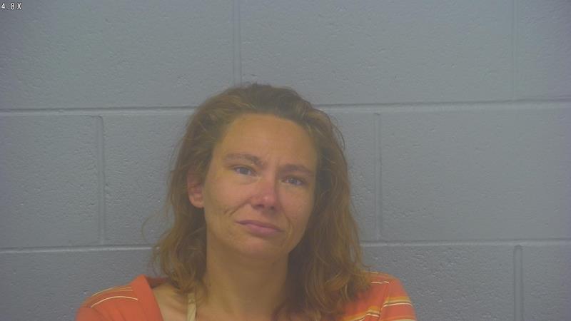 Arrest Photo of WENDY CHRISTIANSON, arrested on 5/28/2025