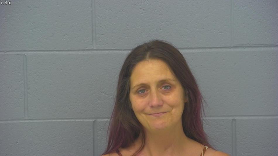 Arrest photo of WENDY MCHENRY-HYDE