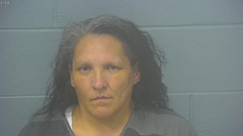 Arrest photo of WENDY MEALER
