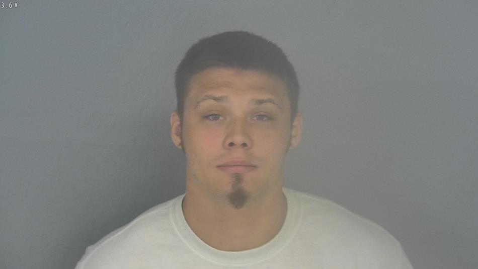 Arrest photo of WESLEE FIELD