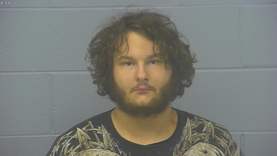 Arrest photo of WESLEY SCHILLY