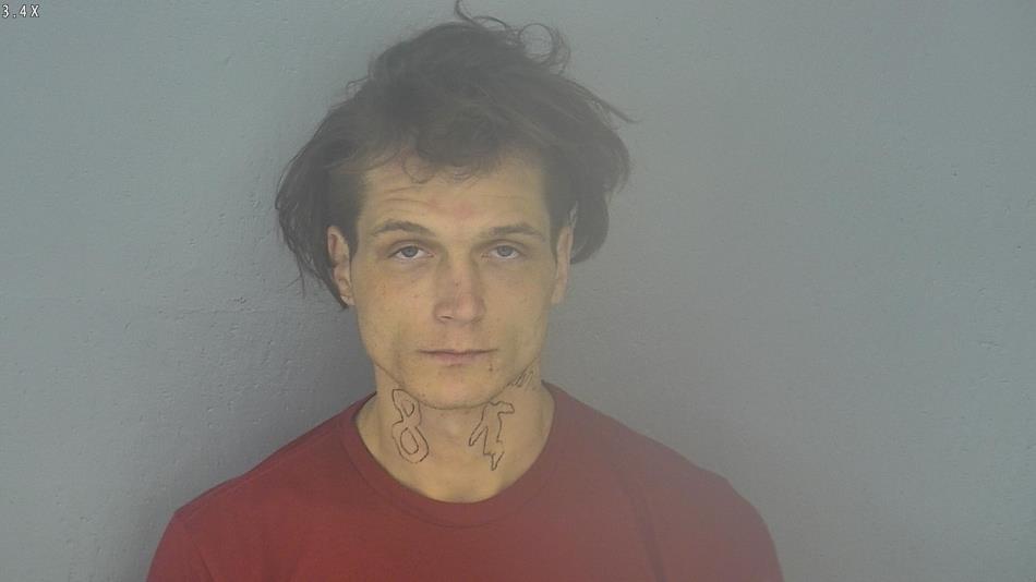 Arrest photo of WESLY MORGAN