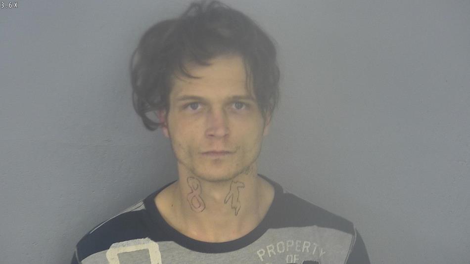 Arrest photo of WESLY MORGAN