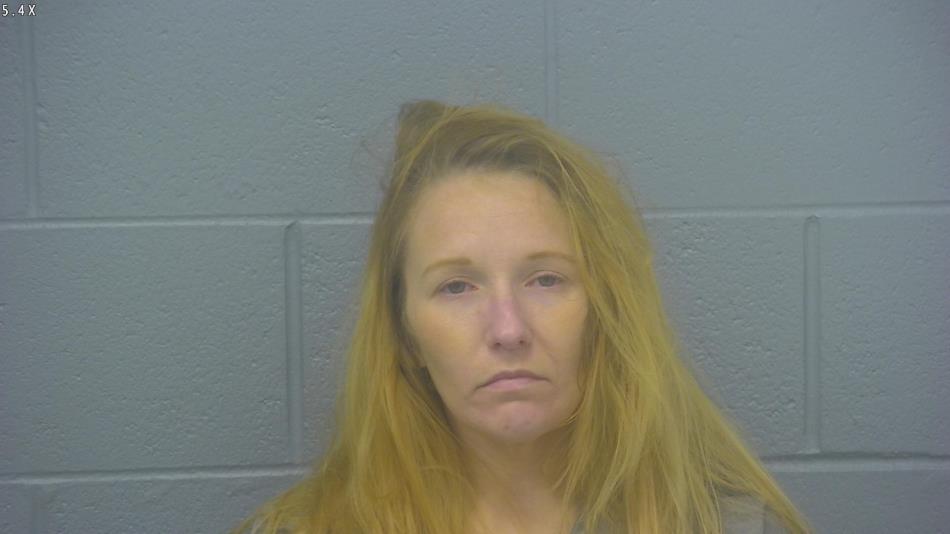 Arrest photo of WHITNEY WOODS