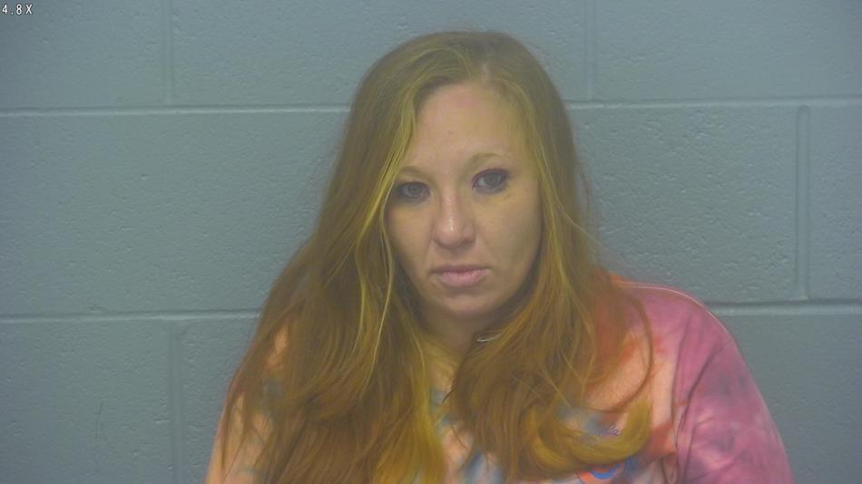 Arrest Photo of WHITNEY ROBINSON, arrested on 11/30/2024