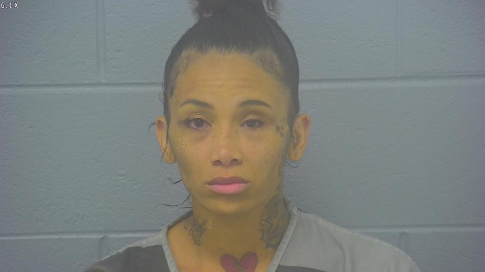 Arrest photo of WHITNEY FOXX