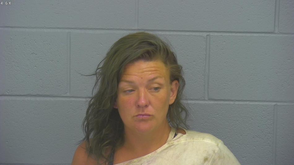 Arrest photo of WHYTNEY YOUNG