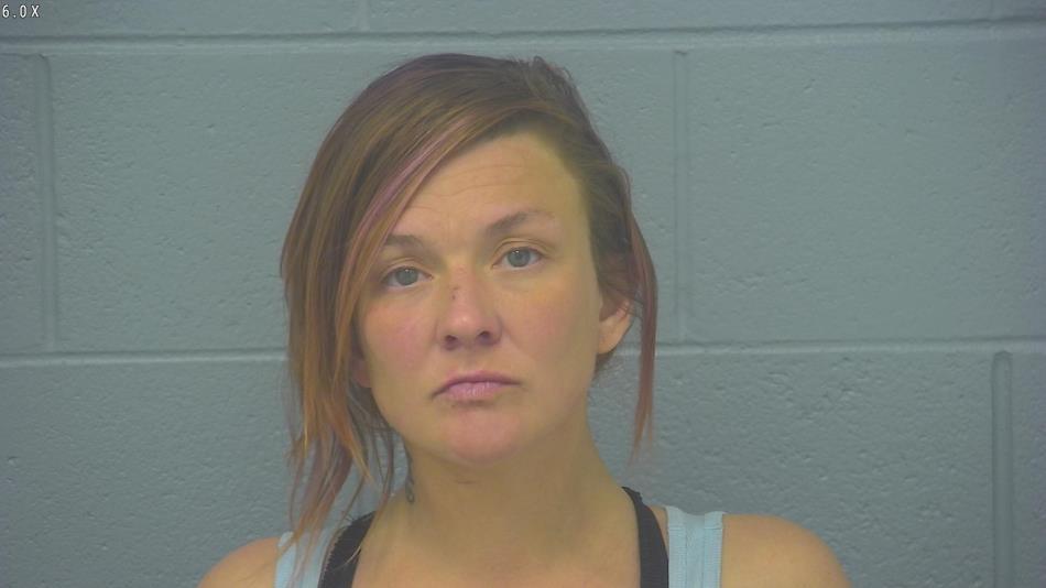 Arrest photo of WHYTNEY YOUNG