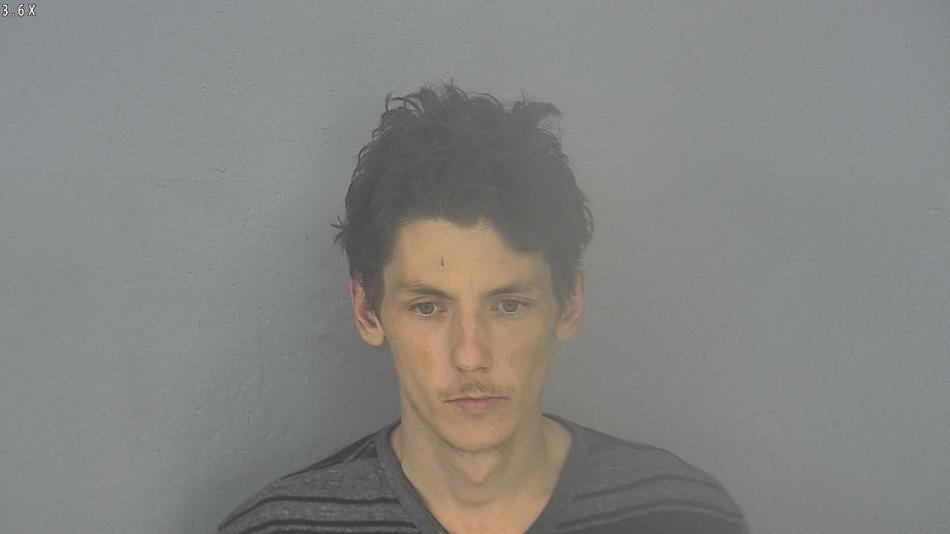 Arrest photo of WILLIAM SYPOLT