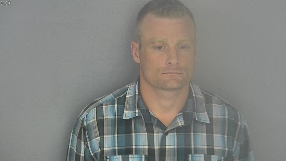 Arrest photo of WILLIAM SHELTON