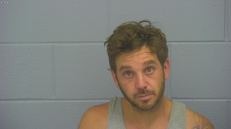 Arrest photo of WILLIAM HUTTON