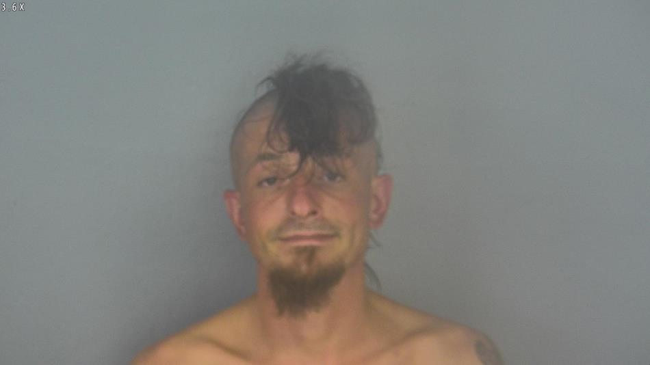 Arrest photo of WILLIAM PRUNEAU