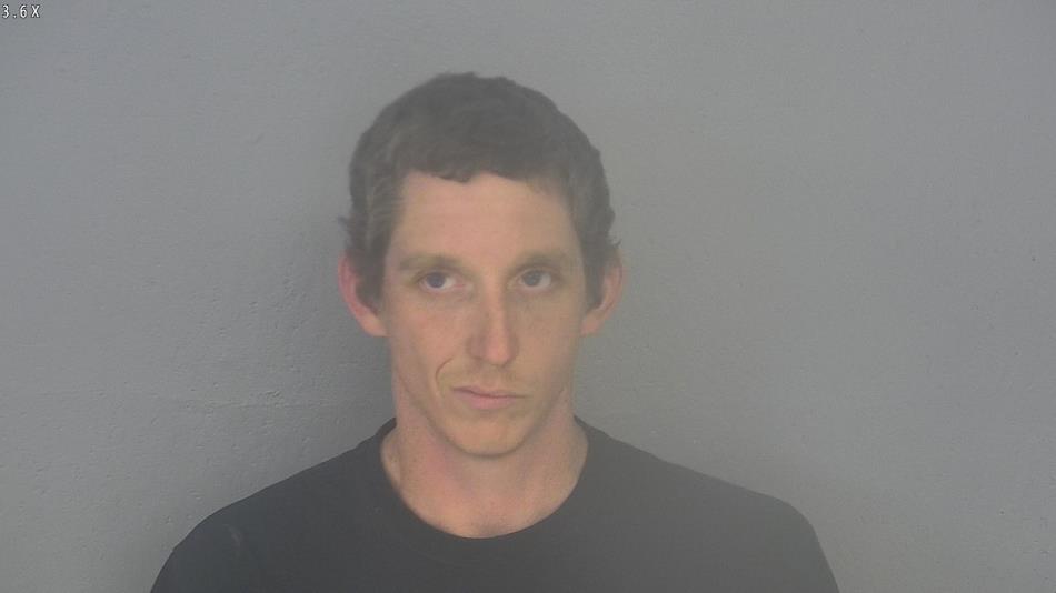 Arrest photo of WILLIAM SIMPSON