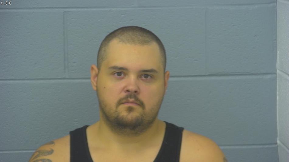 Arrest photo of WILLIAM HIGGINS