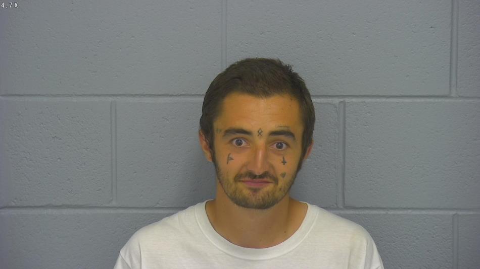 Arrest photo of WILLIAM THOMAS