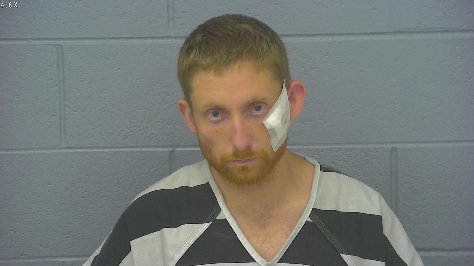 Arrest photo of WILLIAM RILEY